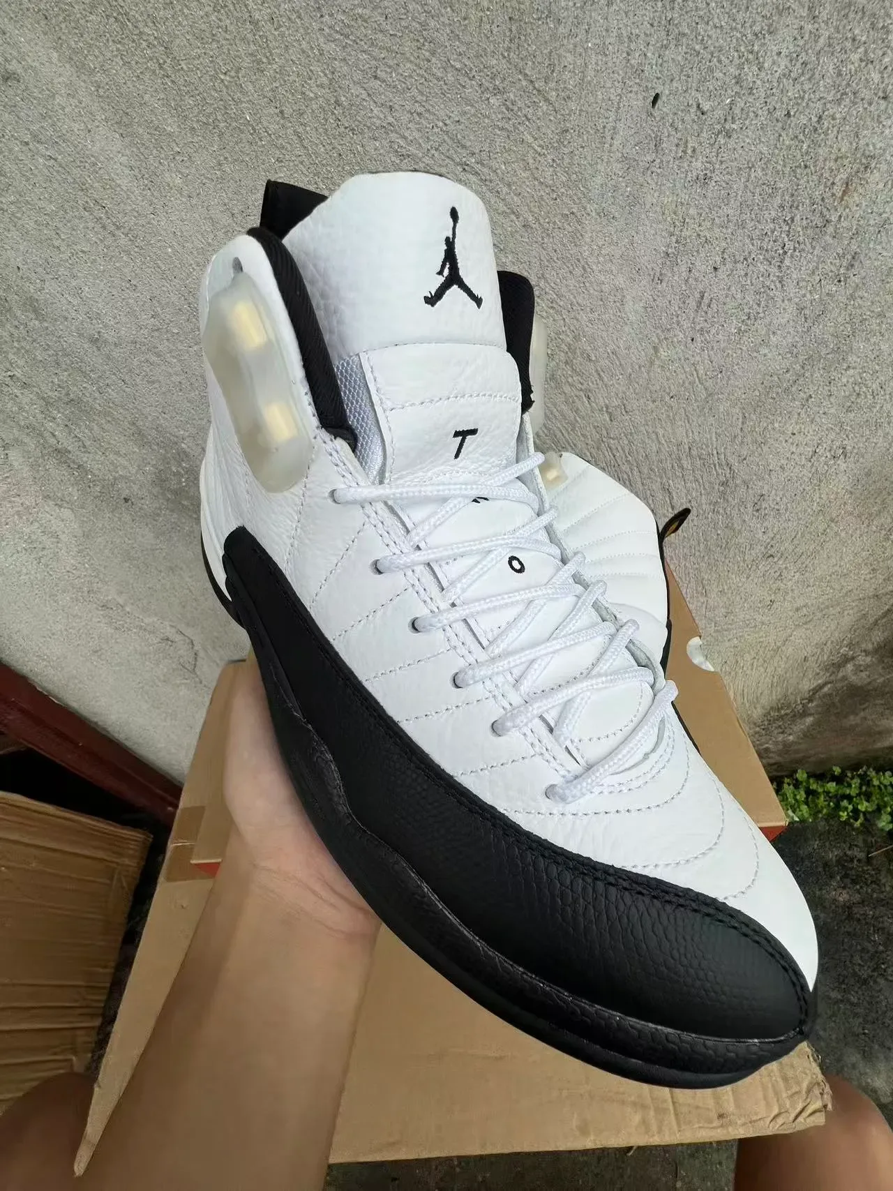 Air Jordan 12 Blanc et Noir Chaussures de Basketball 2