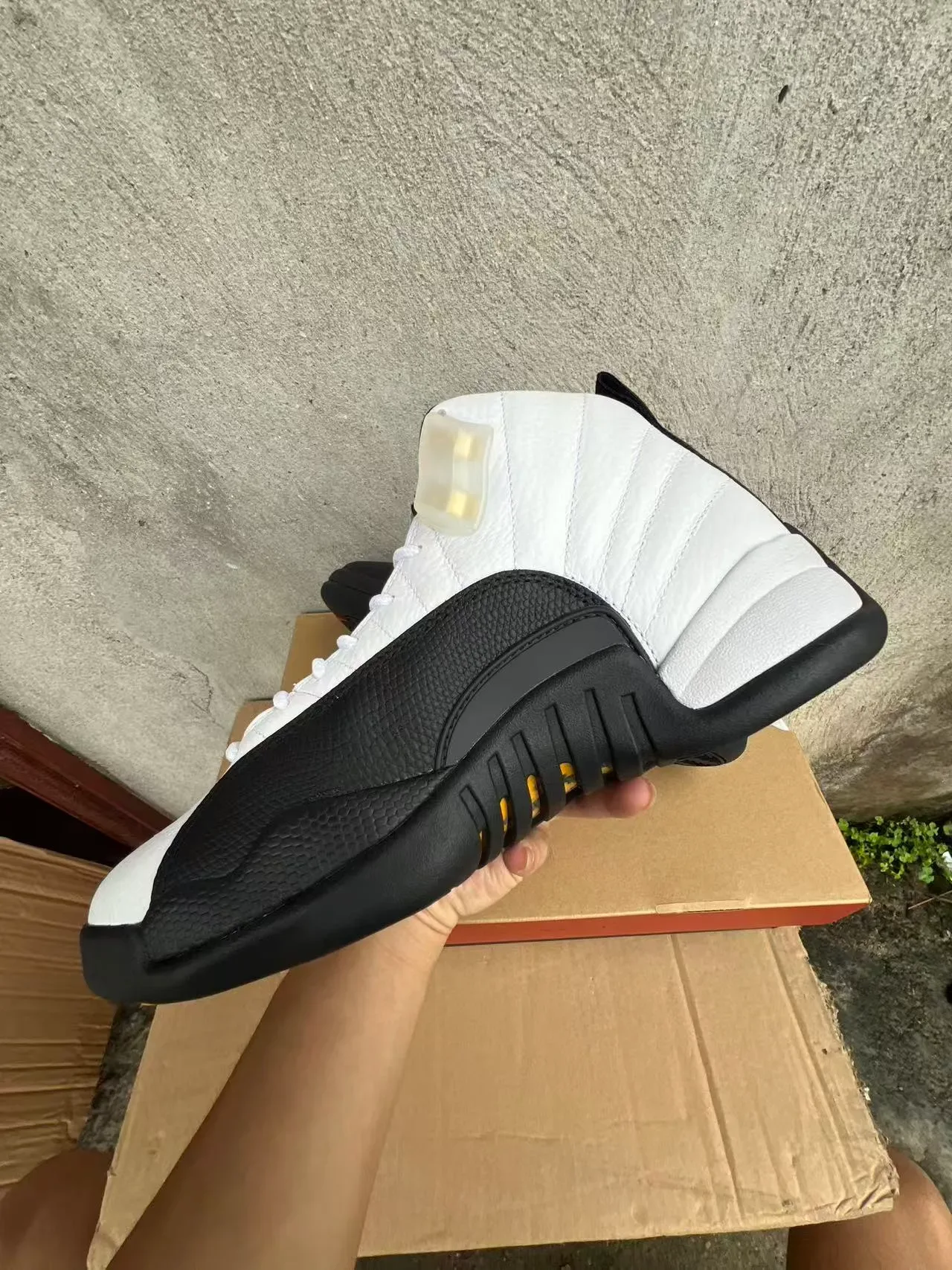Air Jordan 12 Blanc et Noir Chaussures de Basketball 5