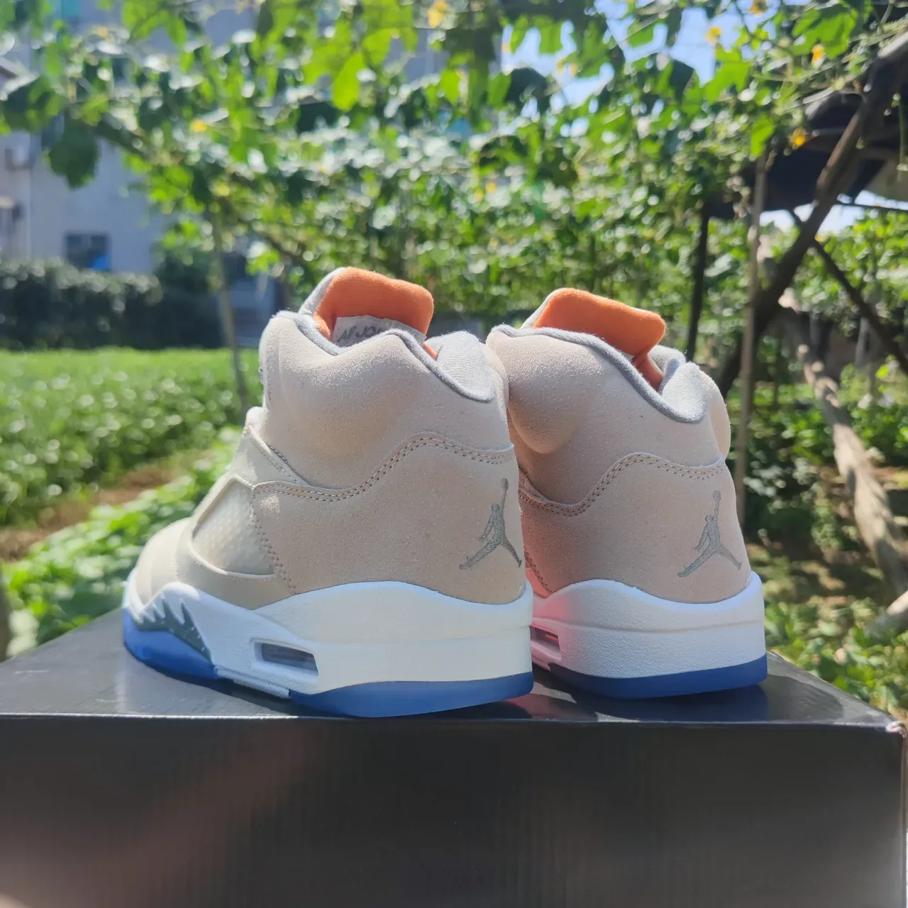 Air Jordan 5 Beige and Blue Basketball Shoes 2