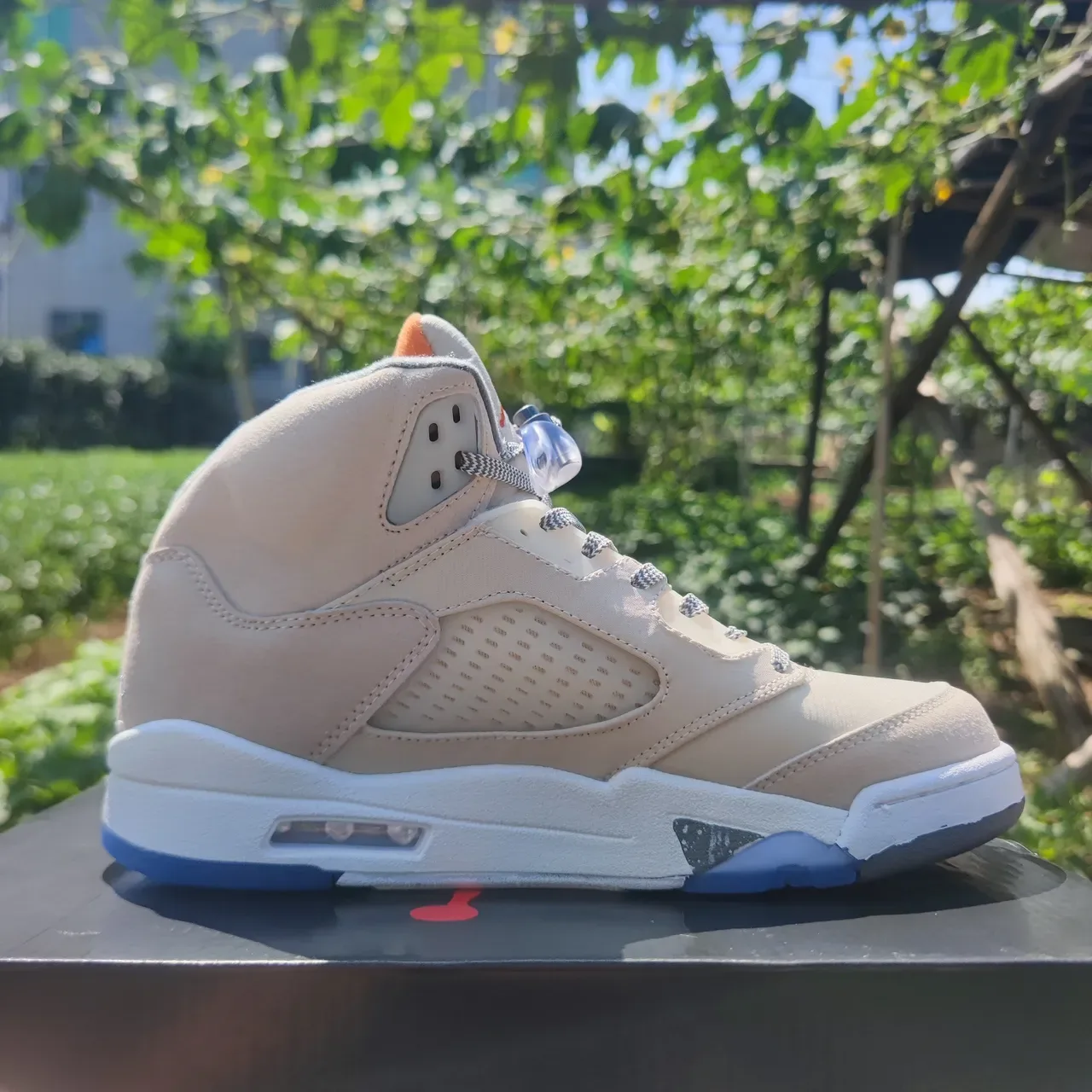 Air Jordan 5 Beige and Blue Basketball Shoes 3