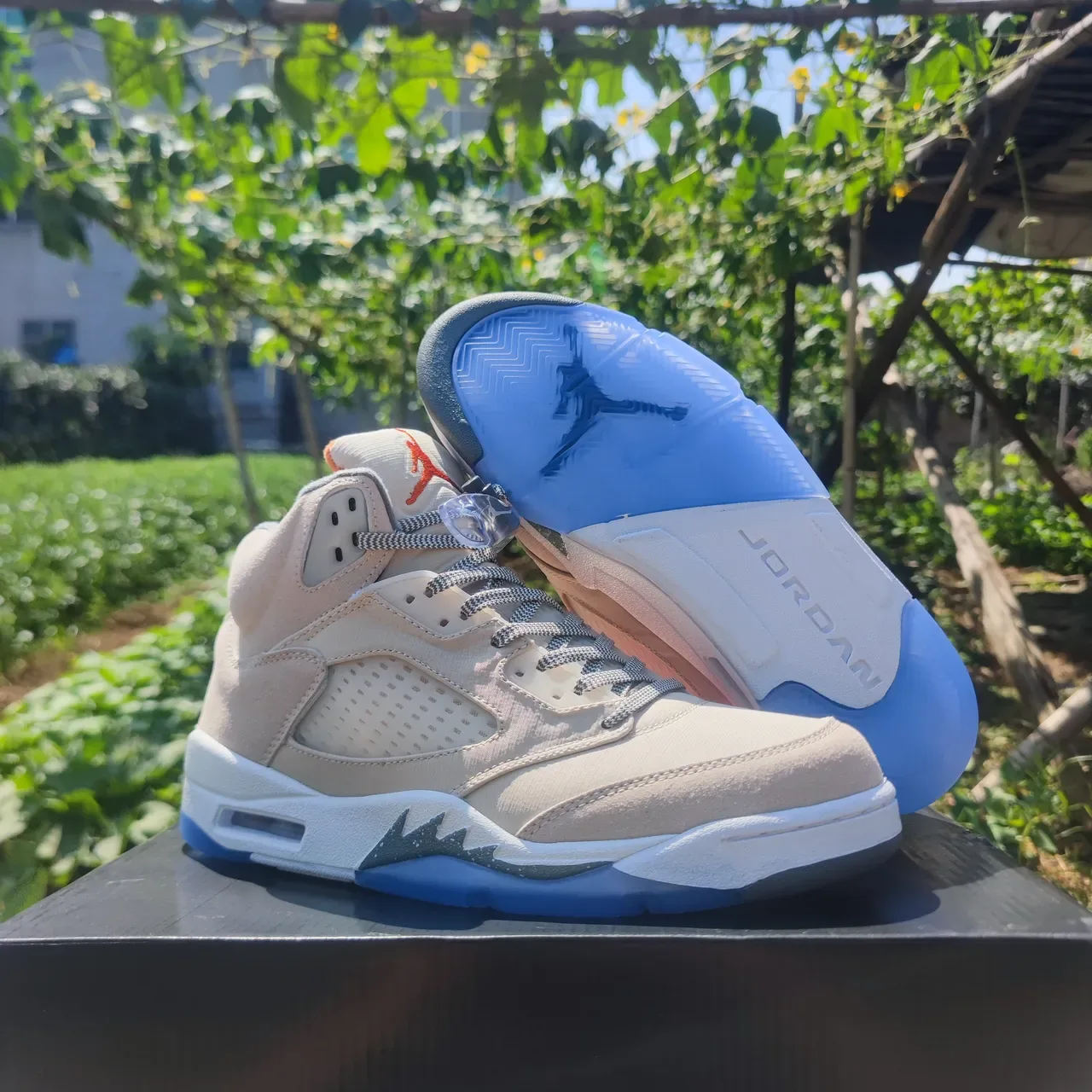 Air Jordan 5 Beige and Blue Basketball Shoes 4