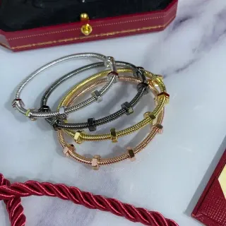 Cartier Juste un Clou Silver Gold Coiled Tubular Metal Hexagonal Nut Accents Bracelet