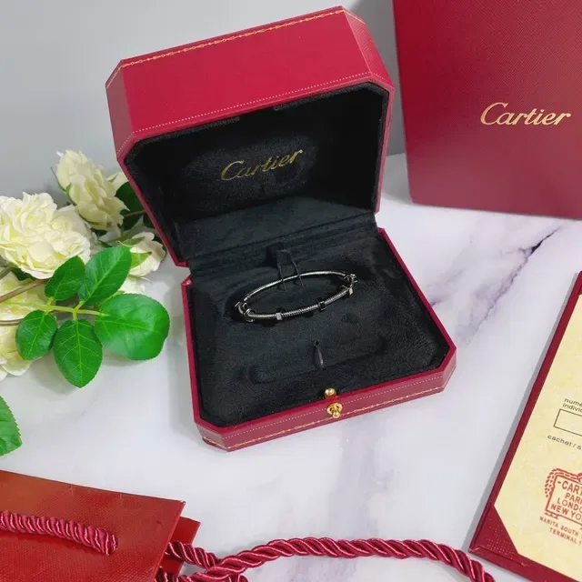 Bracelet Cartier Juste un Clou Argent Or Métal Tubulaire Enroulé Accent Vis Hexagonale 2