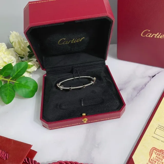 Bracelet Cartier Juste un Clou Argent Or Métal Tubulaire Enroulé Accent Vis Hexagonale 4