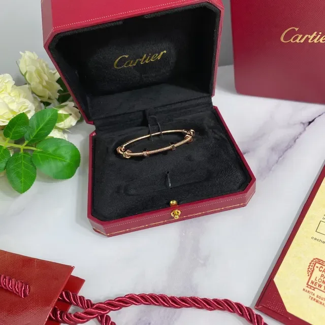 Bracelet Cartier Juste un Clou Argent Or Métal Tubulaire Enroulé Accent Vis Hexagonale 5