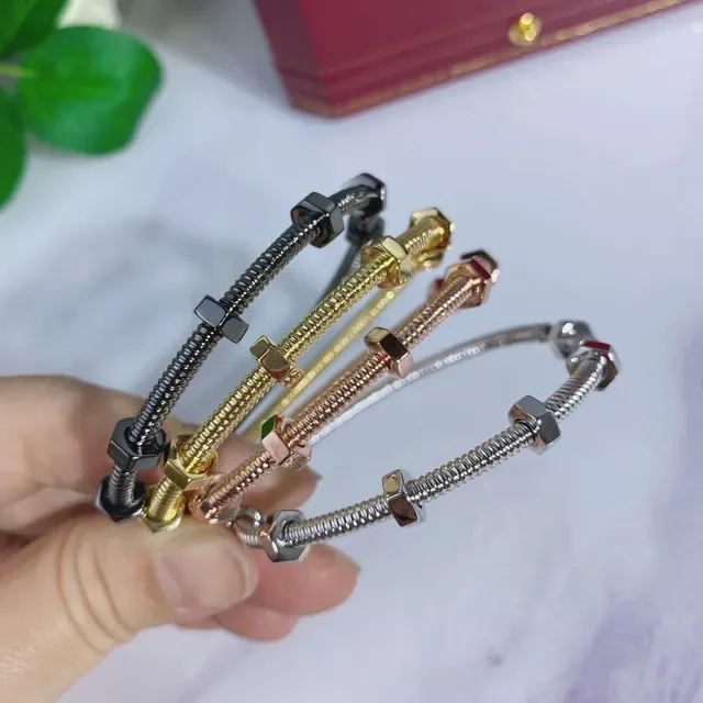 Bracelet Cartier Juste un Clou Argent Or Métal Tubulaire Enroulé Accent Vis Hexagonale 6