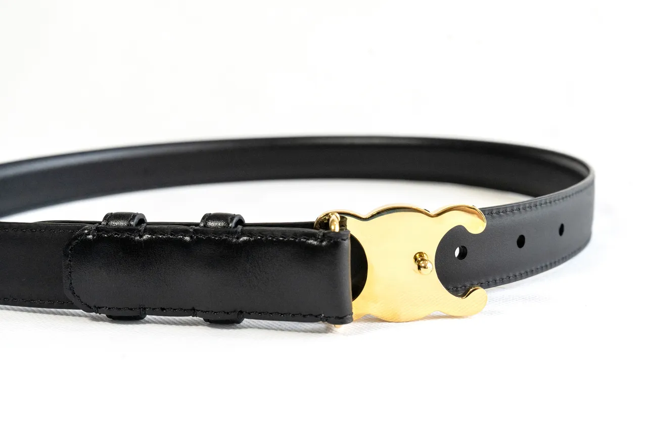 Celine Triomphe Black Gold Smooth Polished Buckle Leather Belt 7