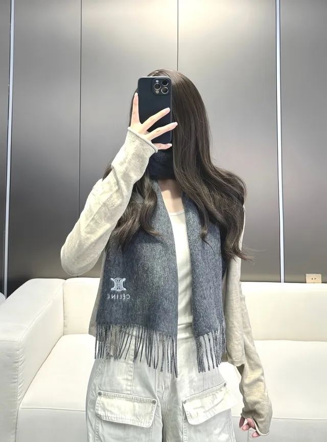 Céline Triomphe Embroidered Gray Cashmere Scarf 5