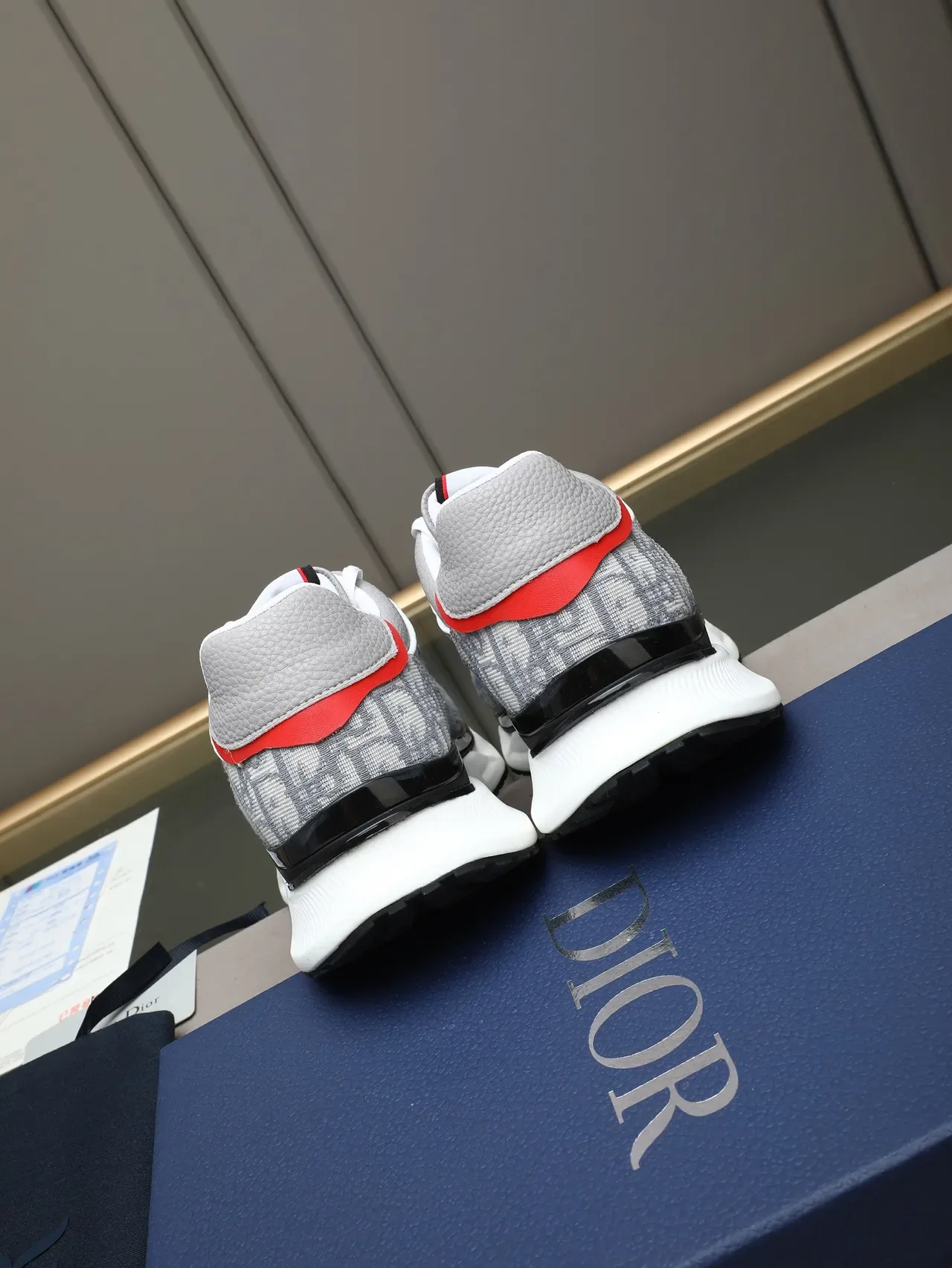 Dior B23 Monogram Gray and Red Lifestyle Sneakers 3