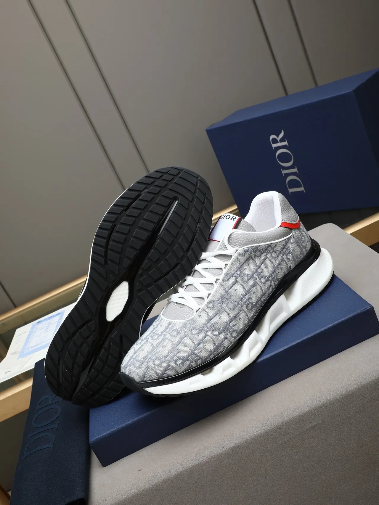 Dior B23 Monogram Gray and Red Lifestyle Sneakers 4