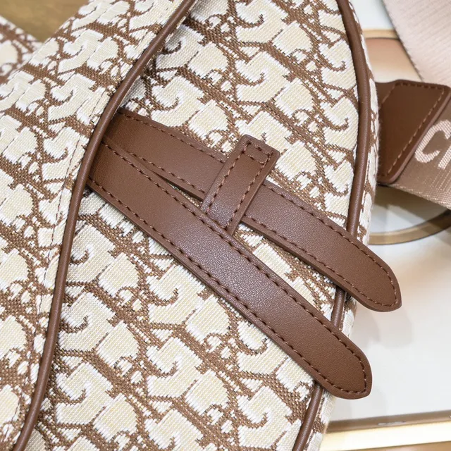 Dior Saddle Beige Brown Monogrammed Canvas Silhouette Saddle Bag 6
