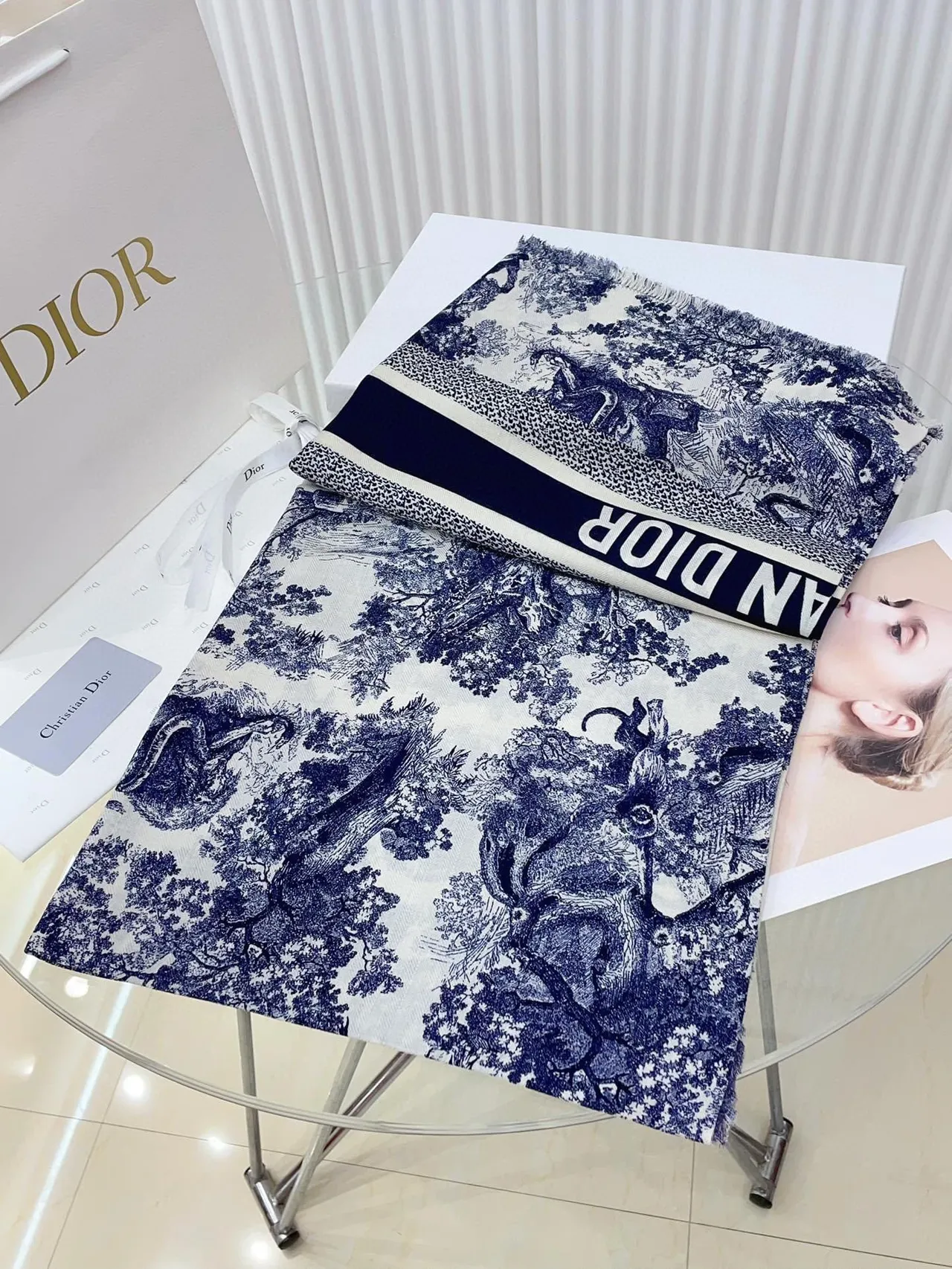 Dior Toile de Jouy Navy on White Silk Scarf 5