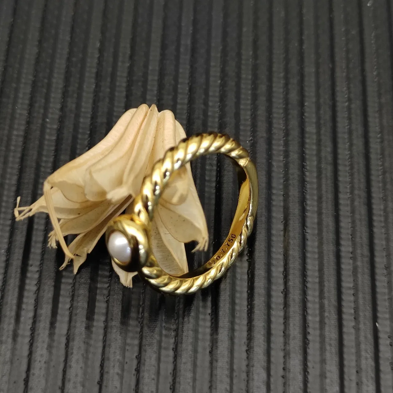 David Yurman Cable Collection Gold Beige Twisted Band Single Pearl Bezel Ring 5