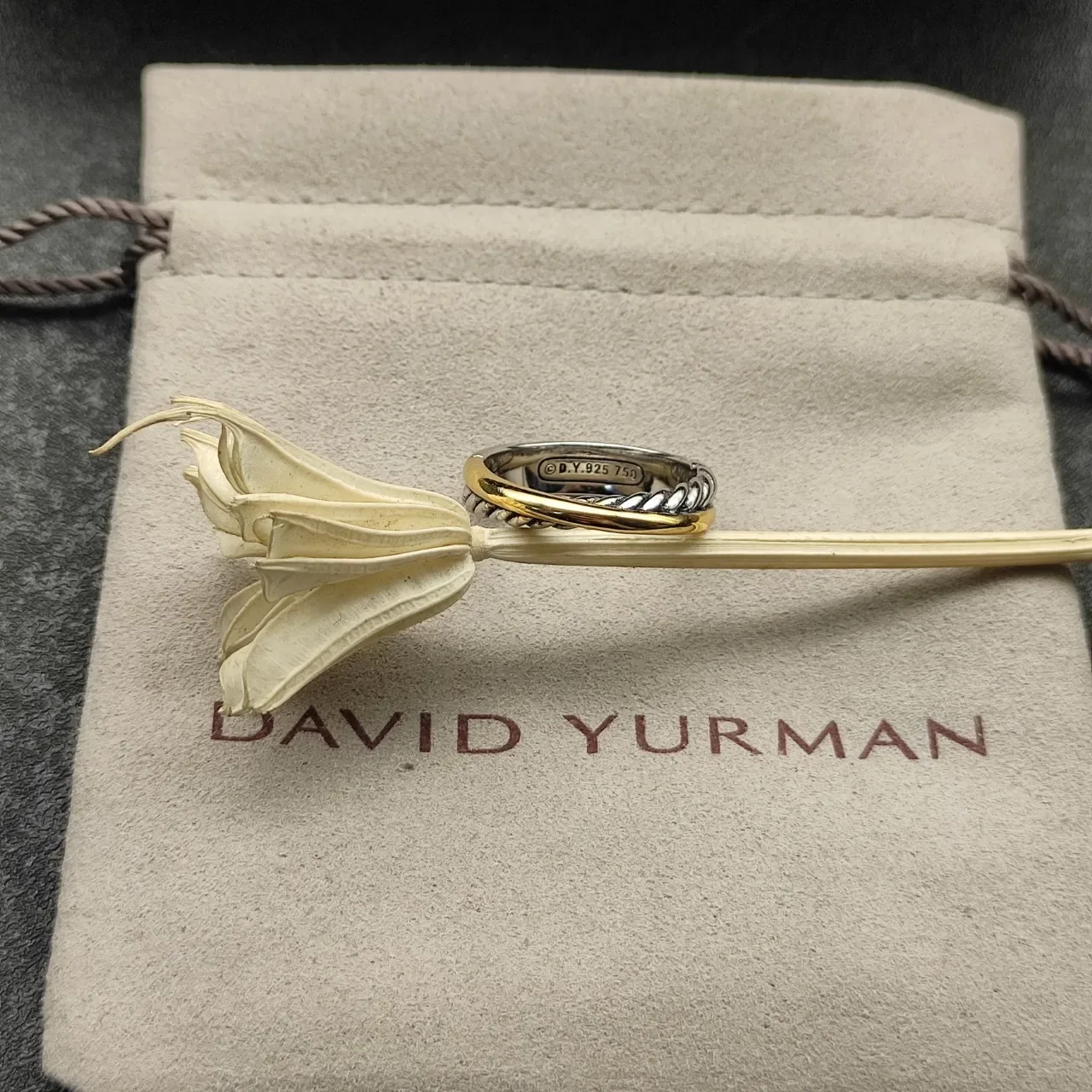 Dual-Tone Interwoven Rope and Smooth Band Ring 9