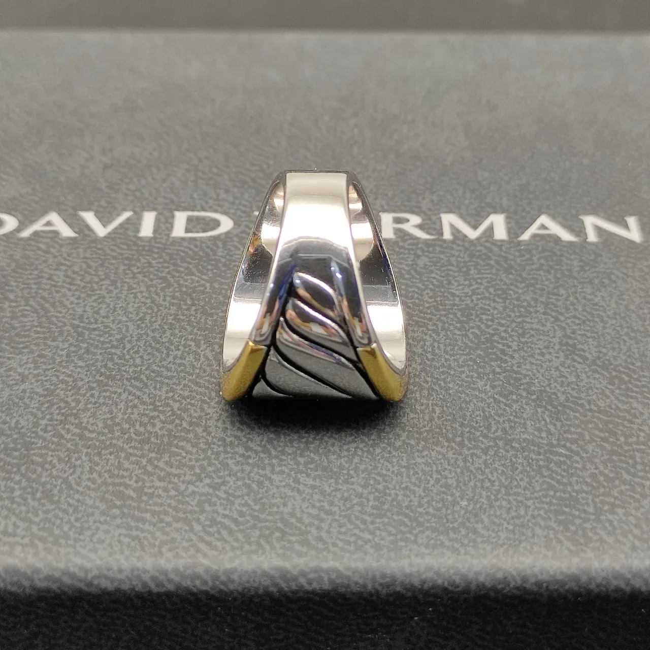 Two-Tone Twisted Rope Motif Wide Band Ring 2
