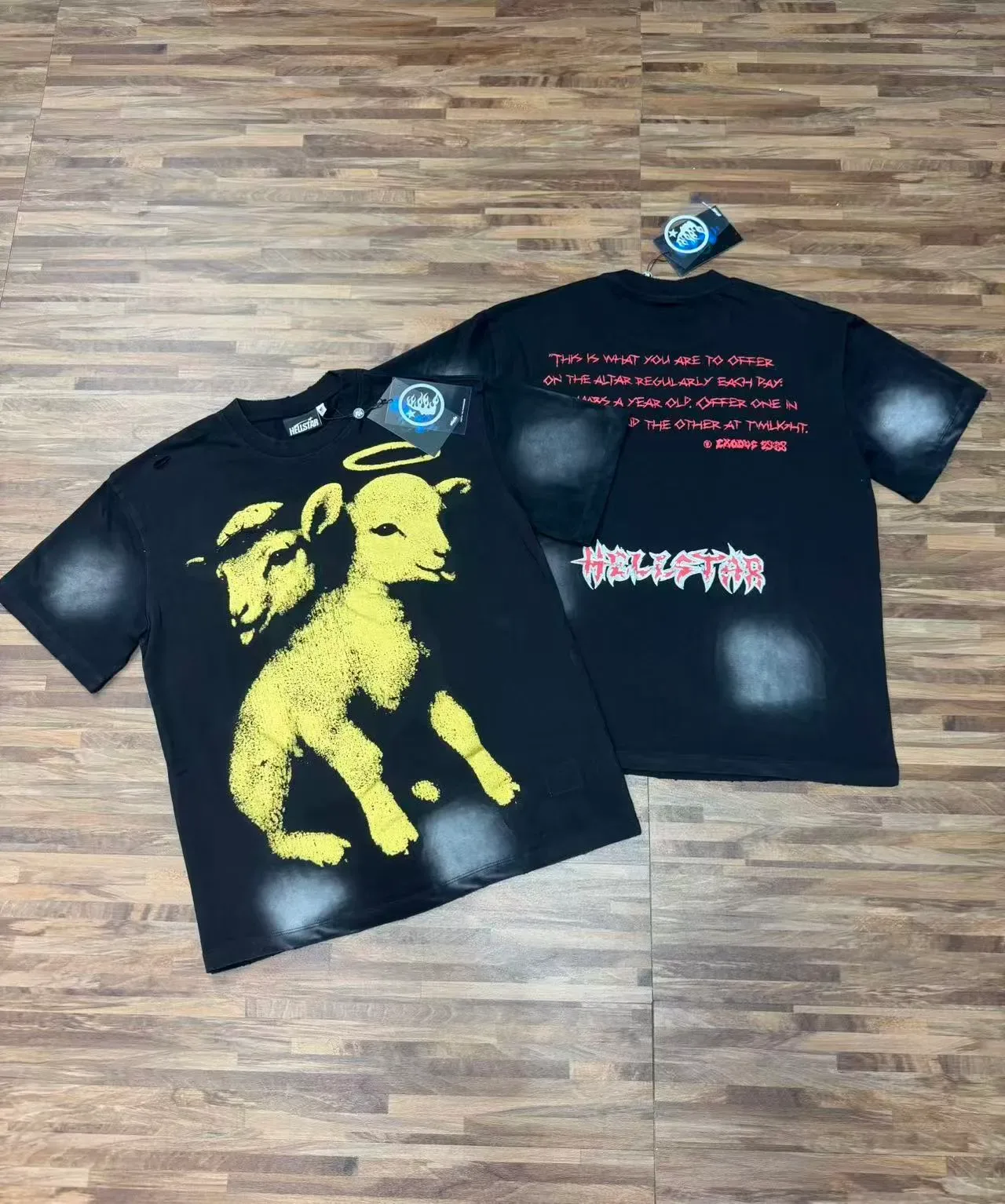 Hellstar Distressed Oversized Graphic Lamb T-Shirt 5
