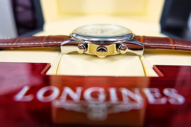 Longines Master Collection Chronograph Brown White Round Stainless Steel Case Guilloché Dial Mechanical Watch 5