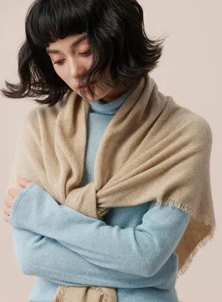 Loro Piana Beige Couleur Pure Bords Frangés Écharpe Cachemire 2