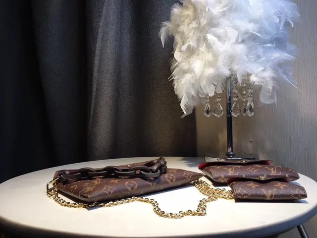 Louis Vuitton বাদামি সোনালী মনোগ্রাম ক্যানভাস এনভেলপ ফ্ল্যাপ চেইন ব্যাগ 2