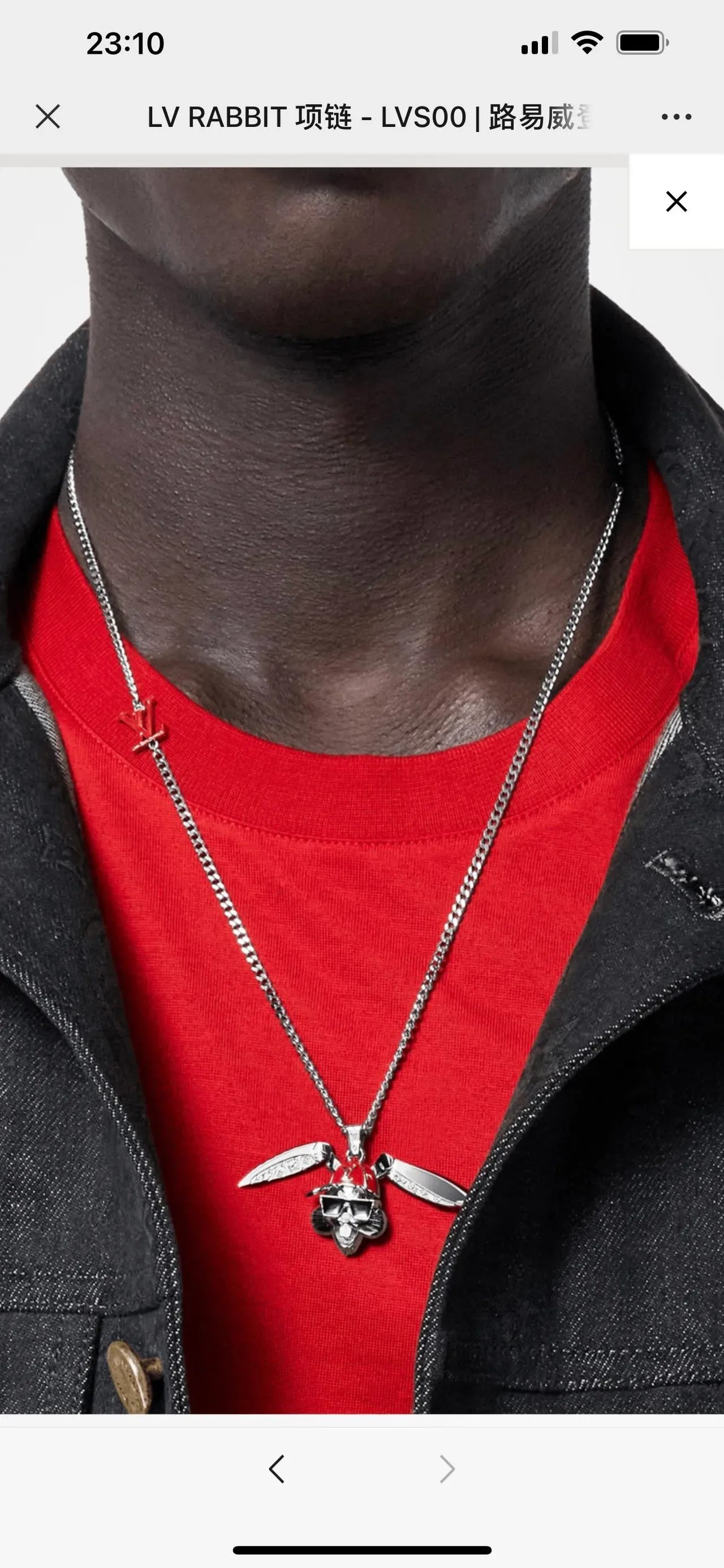 Louis Vuitton Enamel Rabbit Wing Pendant Necklace 5