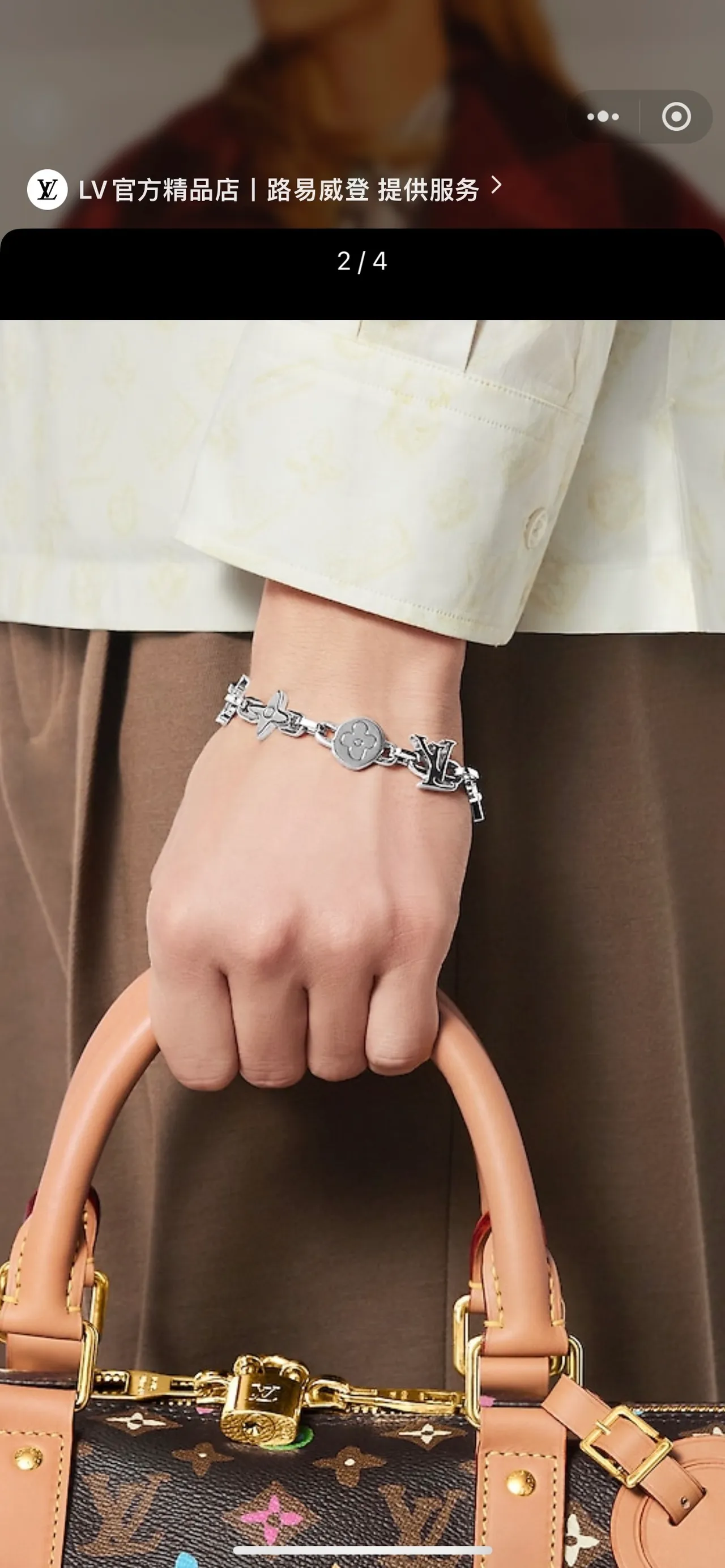 Louis Vuitton Iconic Chain Bracelet Silver and Gold Tone Metal Bracelets 8