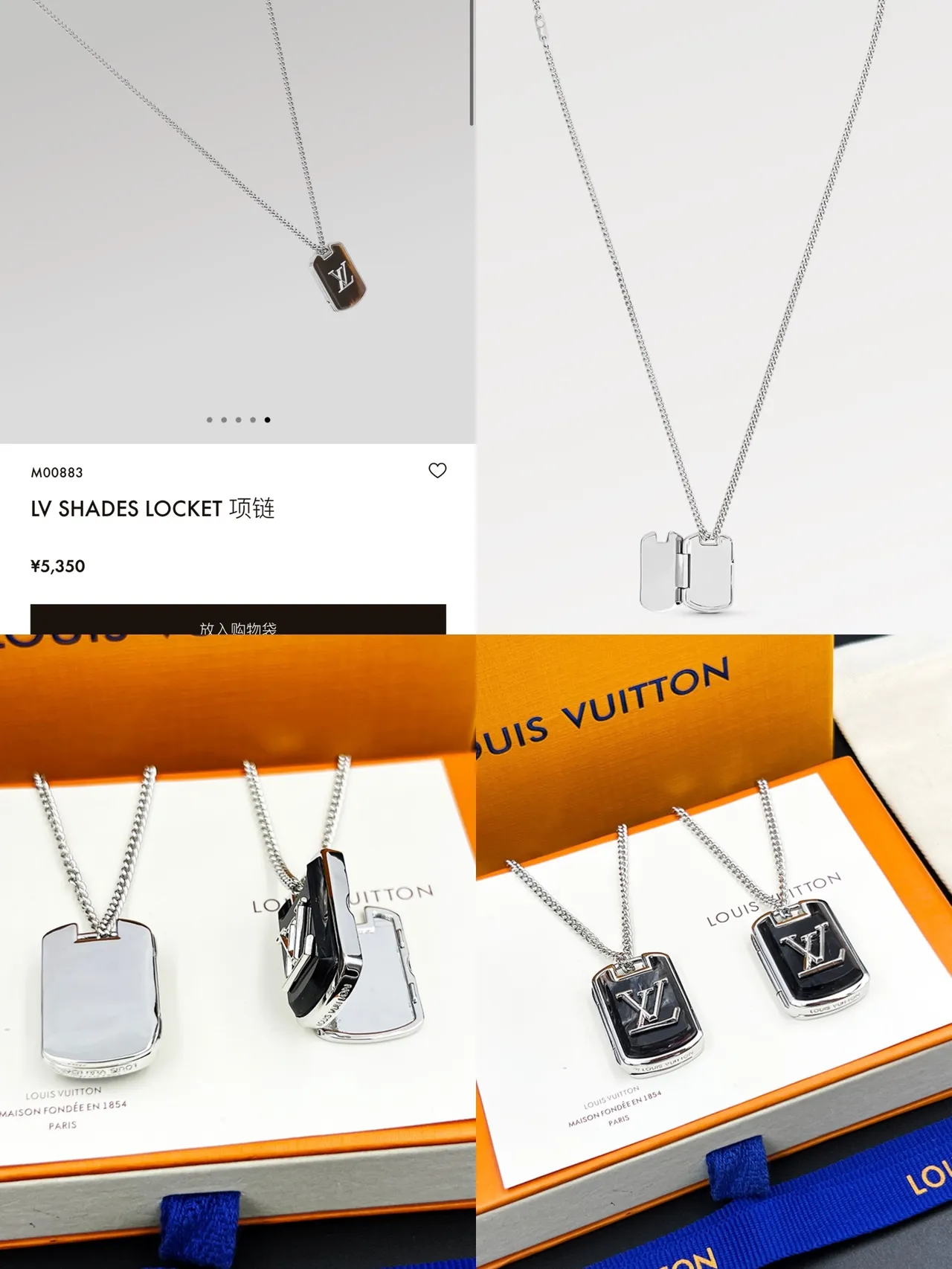 Louis Vuitton LV Shades Locket Silver-Tone Tortoiseshell Dog-Tag Necklace 7
