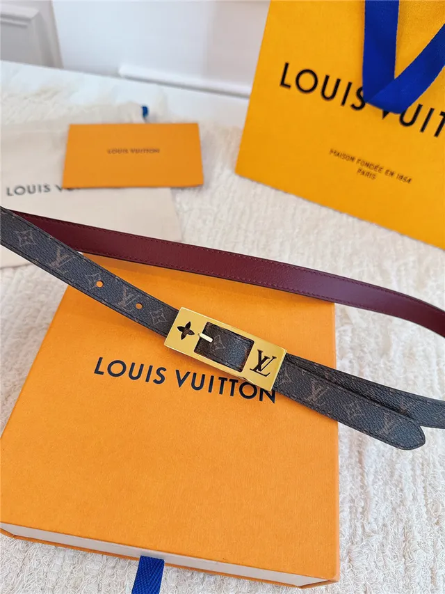 Louis Vuitton مونوغرام كانفاس ذهبي اللون مشبك حزام جلد 16
