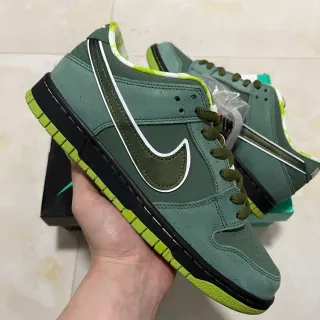 Nike SB Dunk Low Green Lime Skateboard Shoes