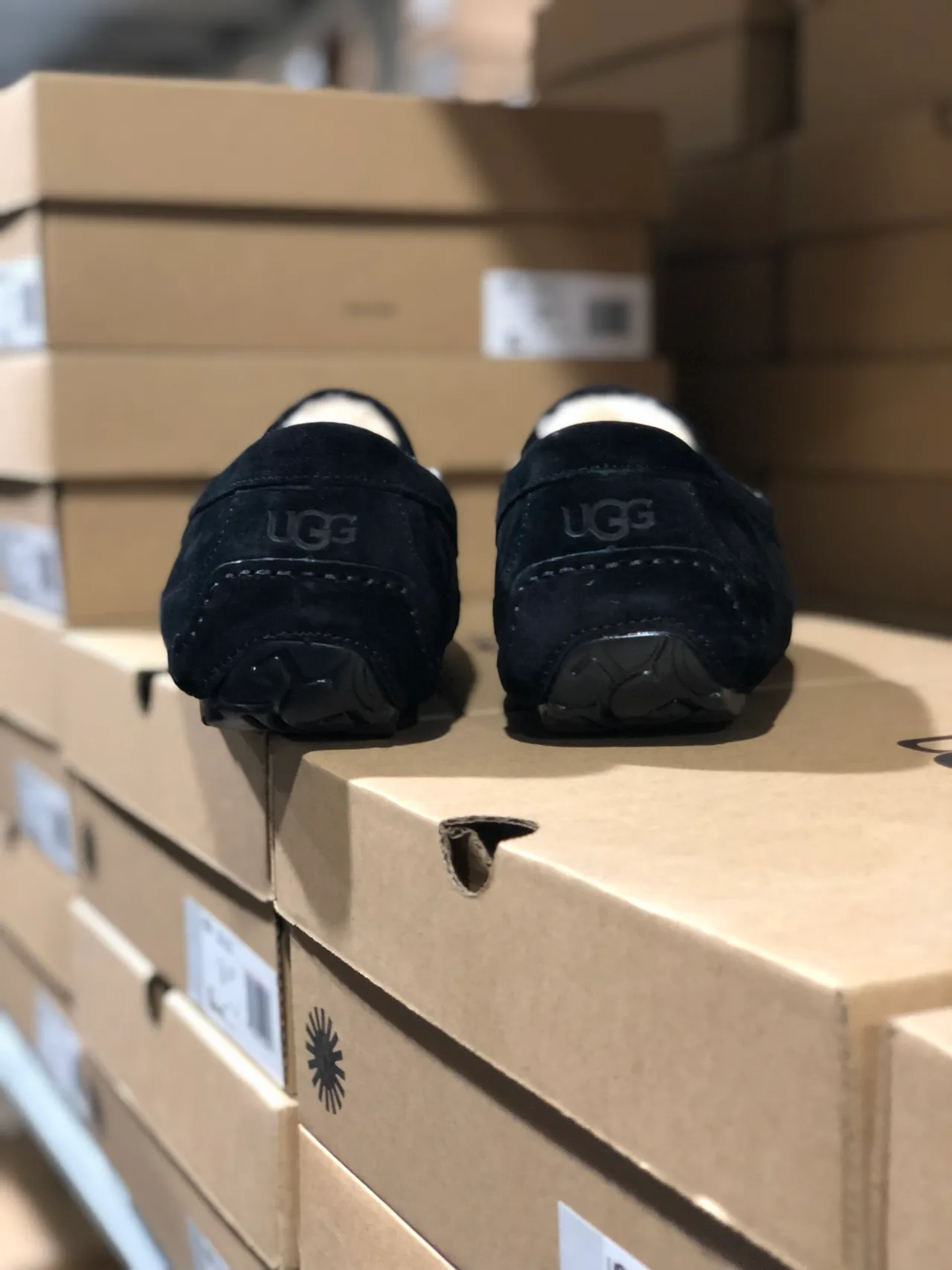 UGG Tasman Black Suede Shearling-Lined Loafers 8