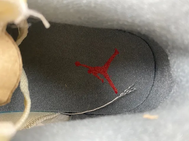Air Jordan 3 Off-White Elephant Print Basketball Shoes 11