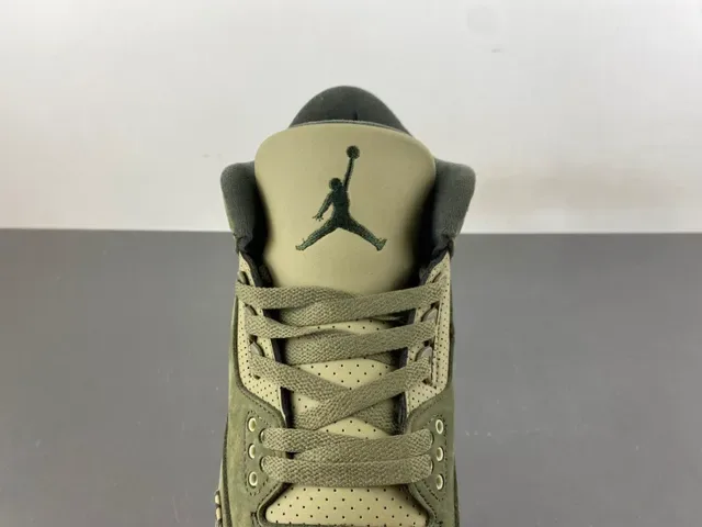 Air Jordan 3 Vert Olive Daim Print Éléphant Chaussures de Basketball 6