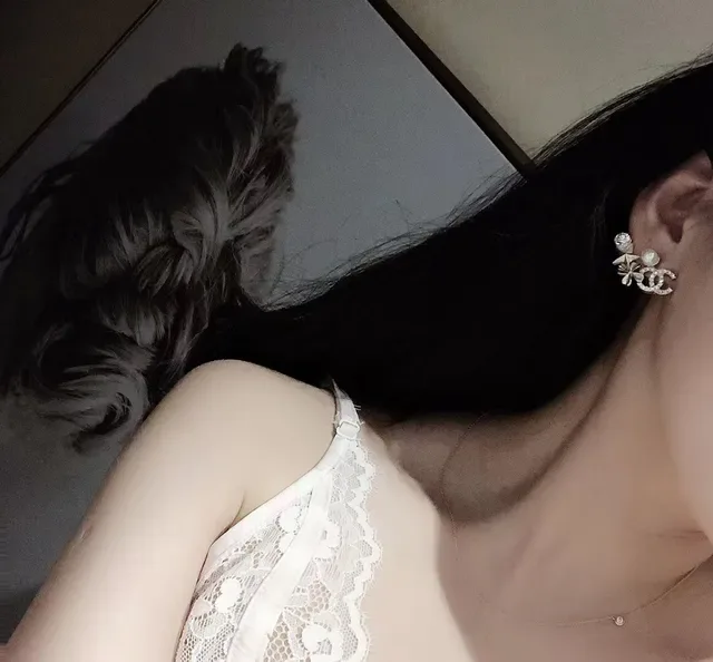 Chanel CC Logo Camellia Earring Silver White Interlocking Pavé Crystal Detailing Earrings 3