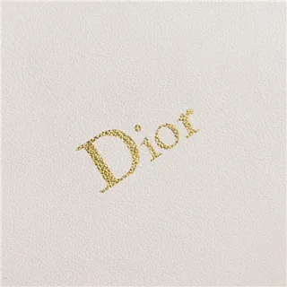 Dior Black Gold Logo Soft Rounded Shoulder Bag 16