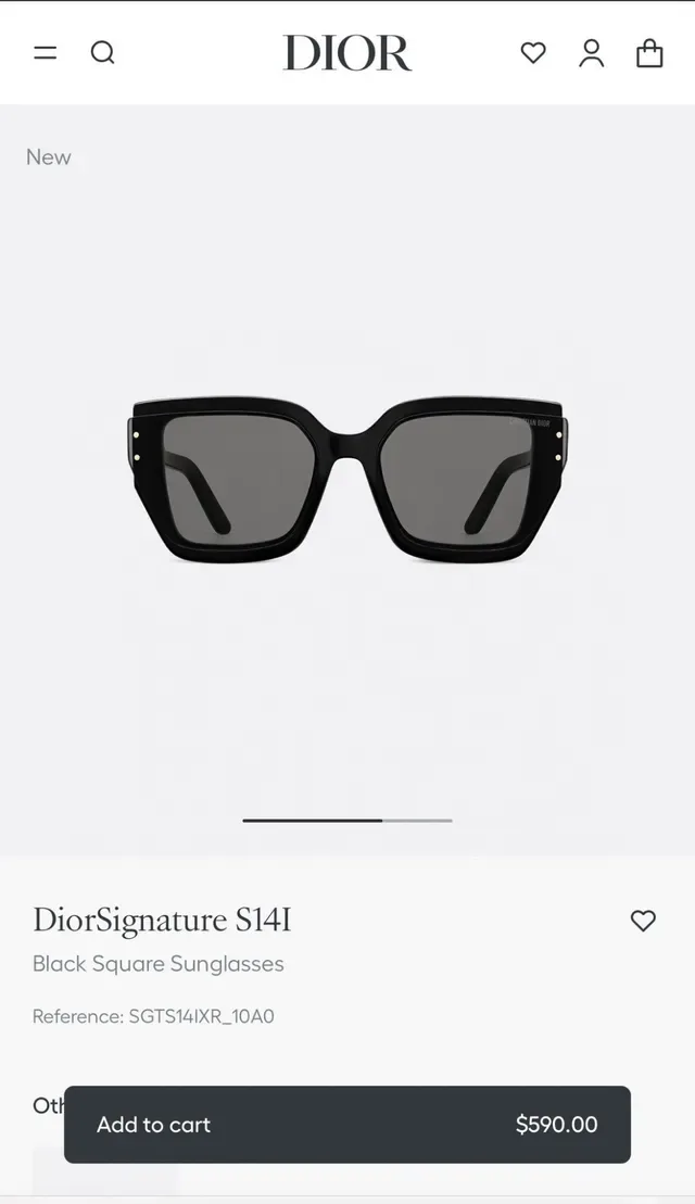 Dior DiorSignature S14I Transparent Pink Square Sunglasses 6