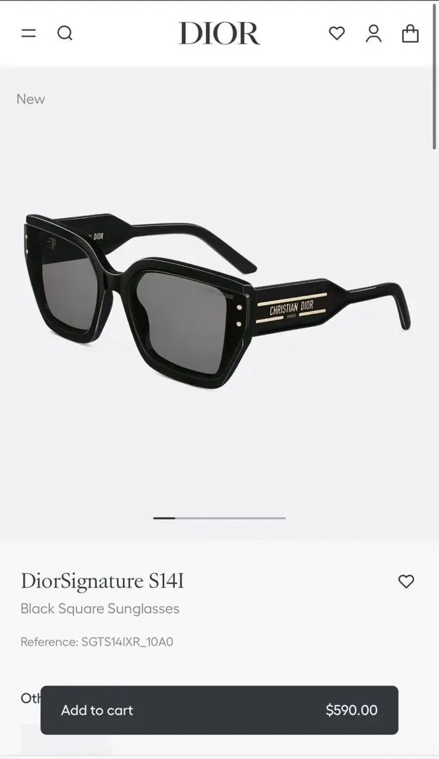 Dior DiorSignature S14I Transparent Pink Square Sunglasses 7