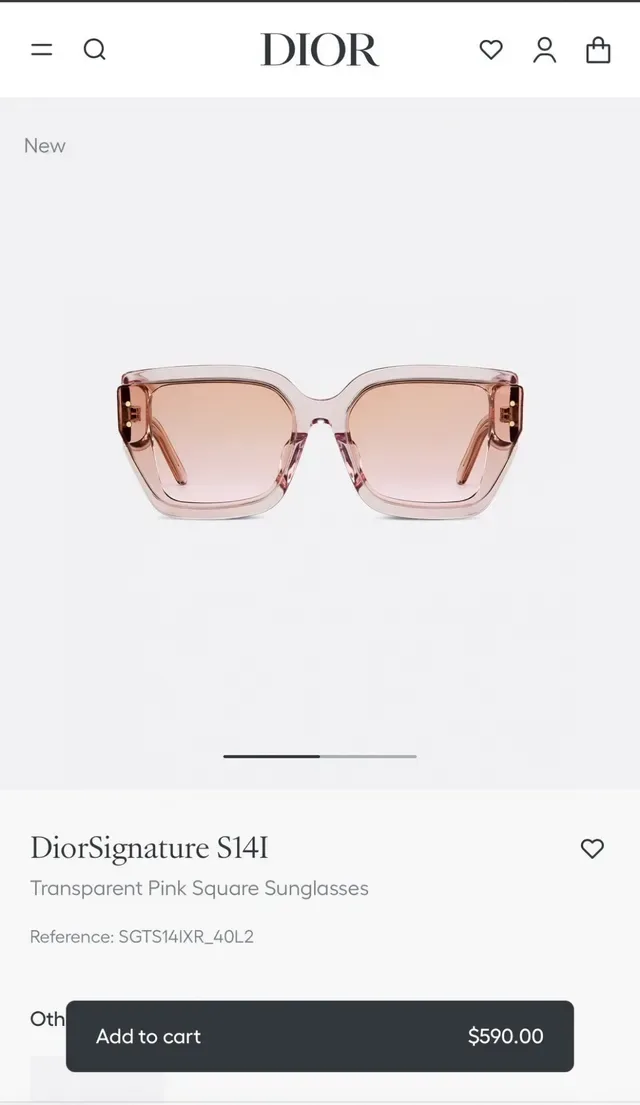 Dior DiorSignature S14I Transparent Pink Square Sunglasses 9
