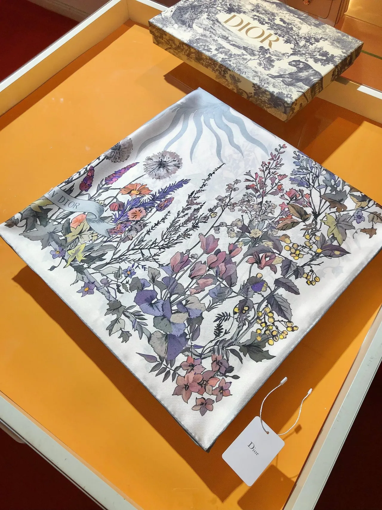 Dior Floral Botanical Print Silk Scarf 7