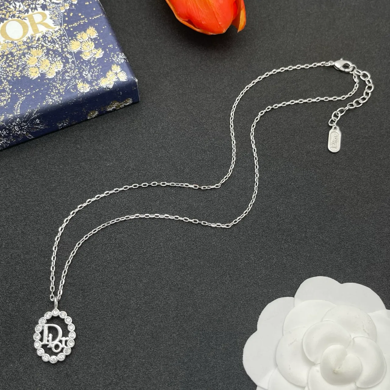Dior Logo Pendant Silver Chain Oval Crystal-Halo Necklace 7