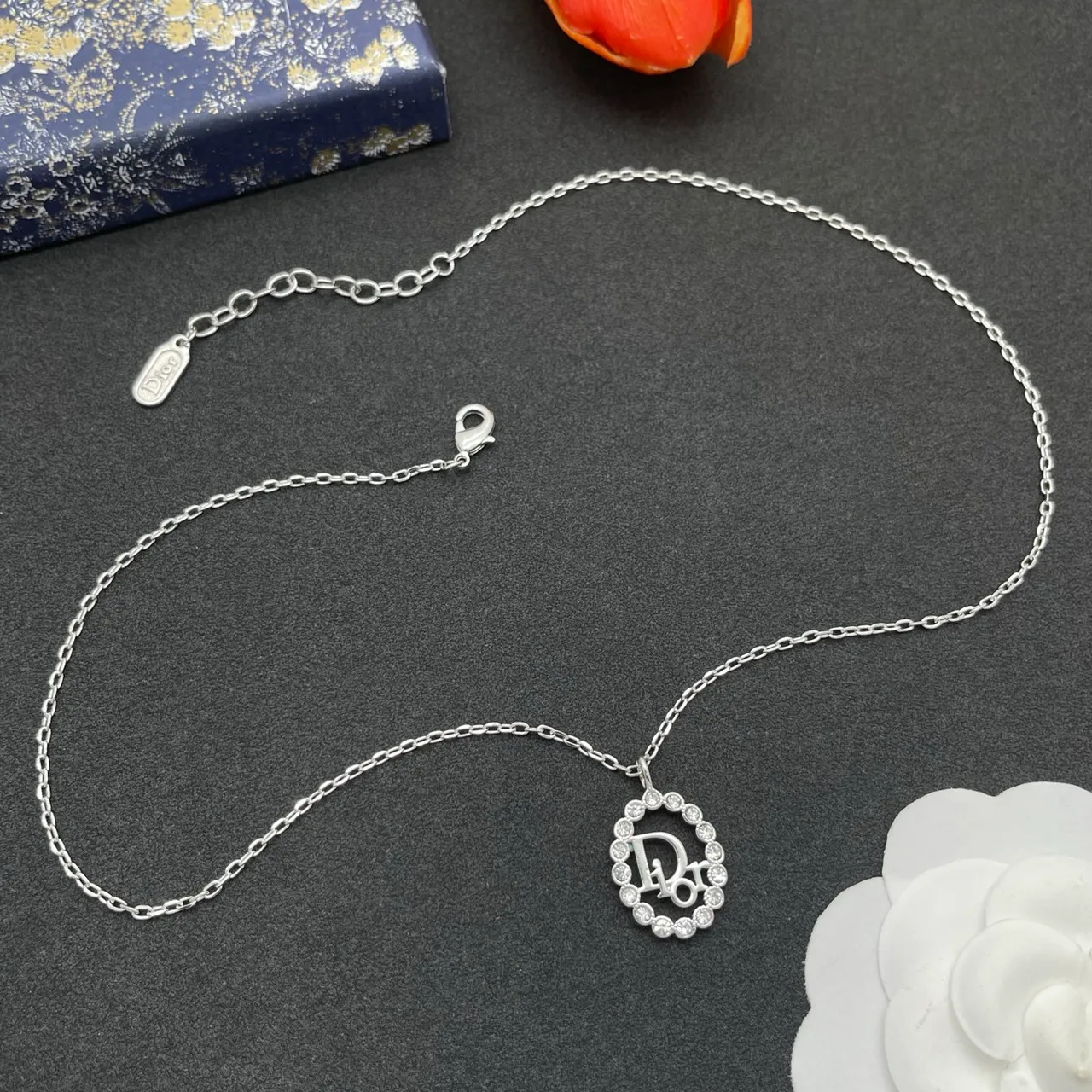 Dior Logo Pendant Silver Chain Oval Crystal-Halo Necklace 8