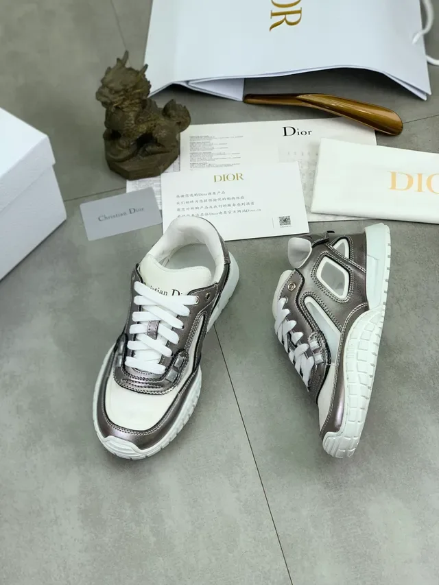 Dior Silver White Metallic Upper Contrast Panels Chunky Sneakers 5