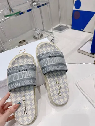 Dior Slide Gris Beige Imprimé pied de poule sur l'empeigne sangle logo brodé mules 5