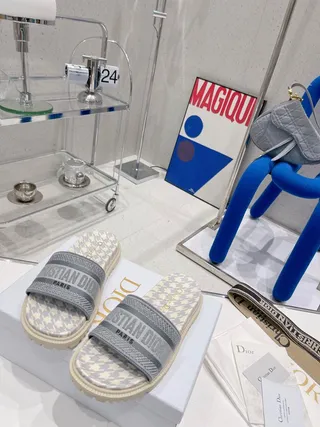 Dior Slide Gris Beige Imprimé pied de poule sur l'empeigne sangle logo brodé mules 8