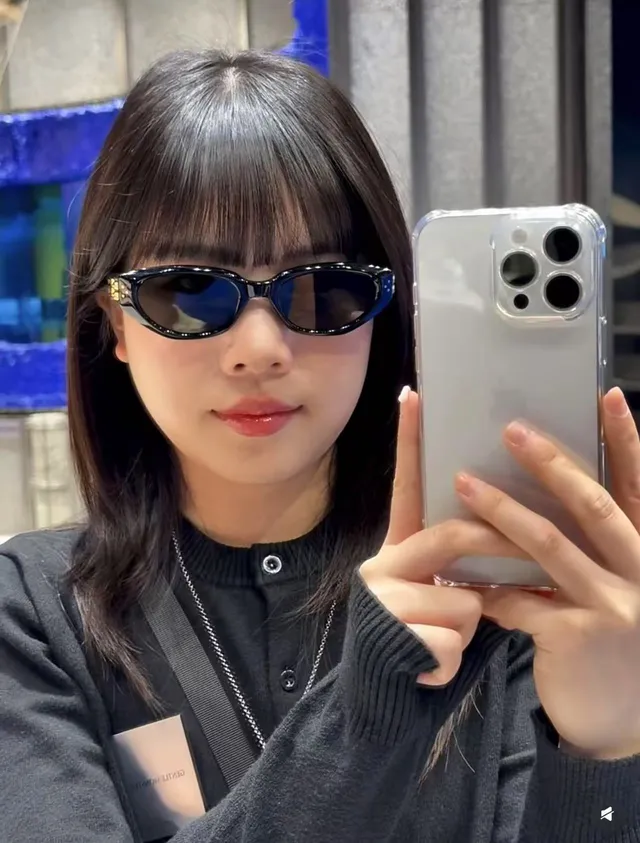 Brown Black Translucent Acetate Cat-Eye Silhouette Sunglasses 3
