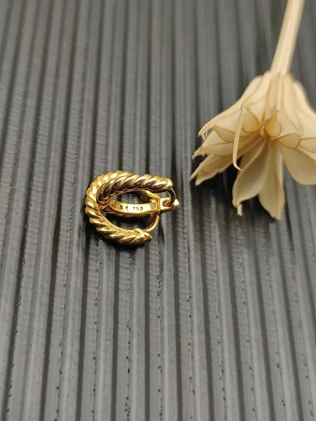 Gold Twisted Rope Texture Hinged Closure Earrings 7