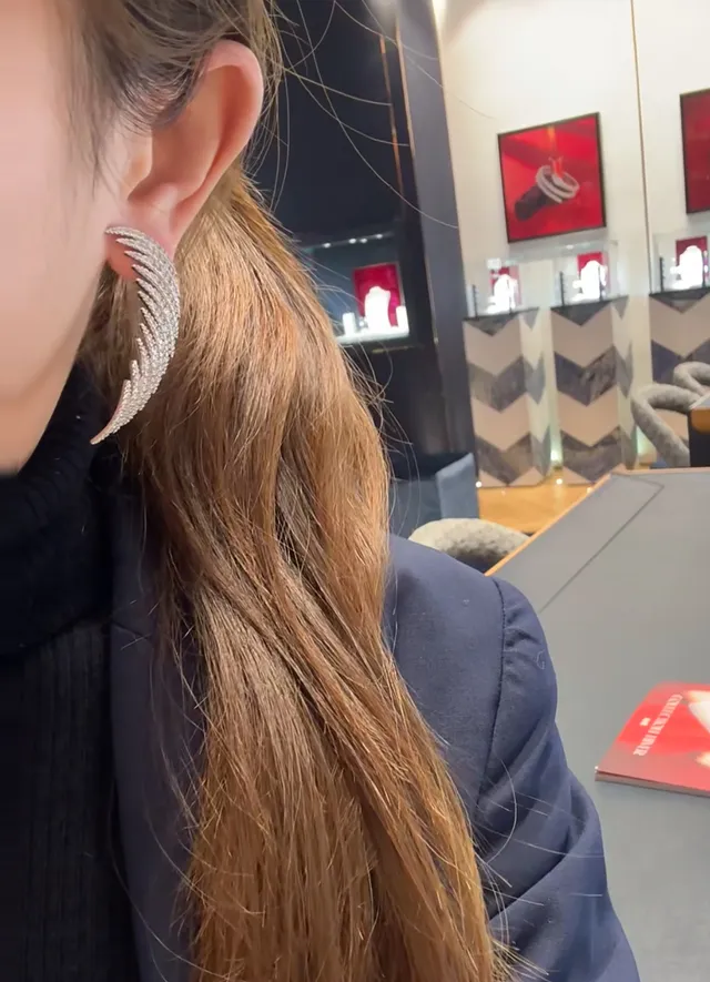 Wing-Shaped Pavé Crystal Silver-Toned Earrings 3