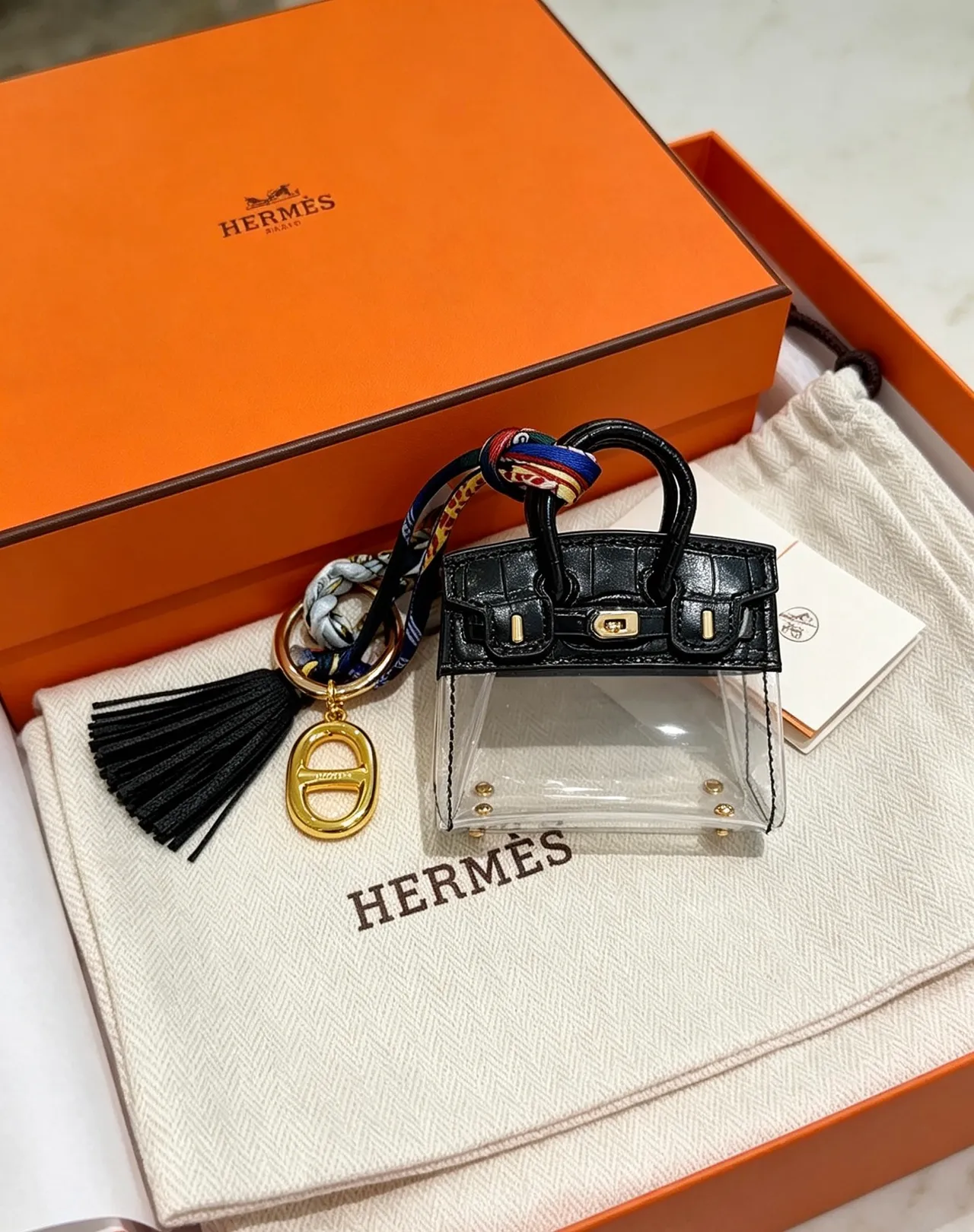 Hermès Mini Birkin Sac Tote en PVC Noir Croc-Embossé et Transparente 9