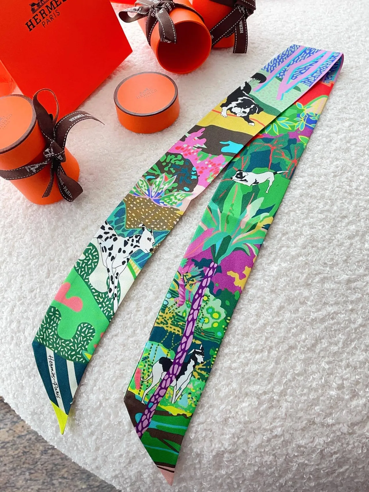 Hermès Twilly Multicolor Narrow Printed Silk Scarf 6