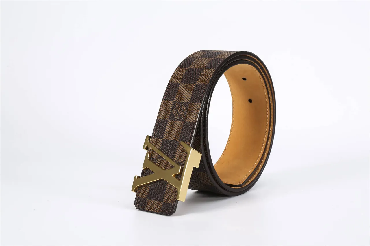 Louis Vuitton LV Damier Ebène Ceinture Marron Tan Cuir 5