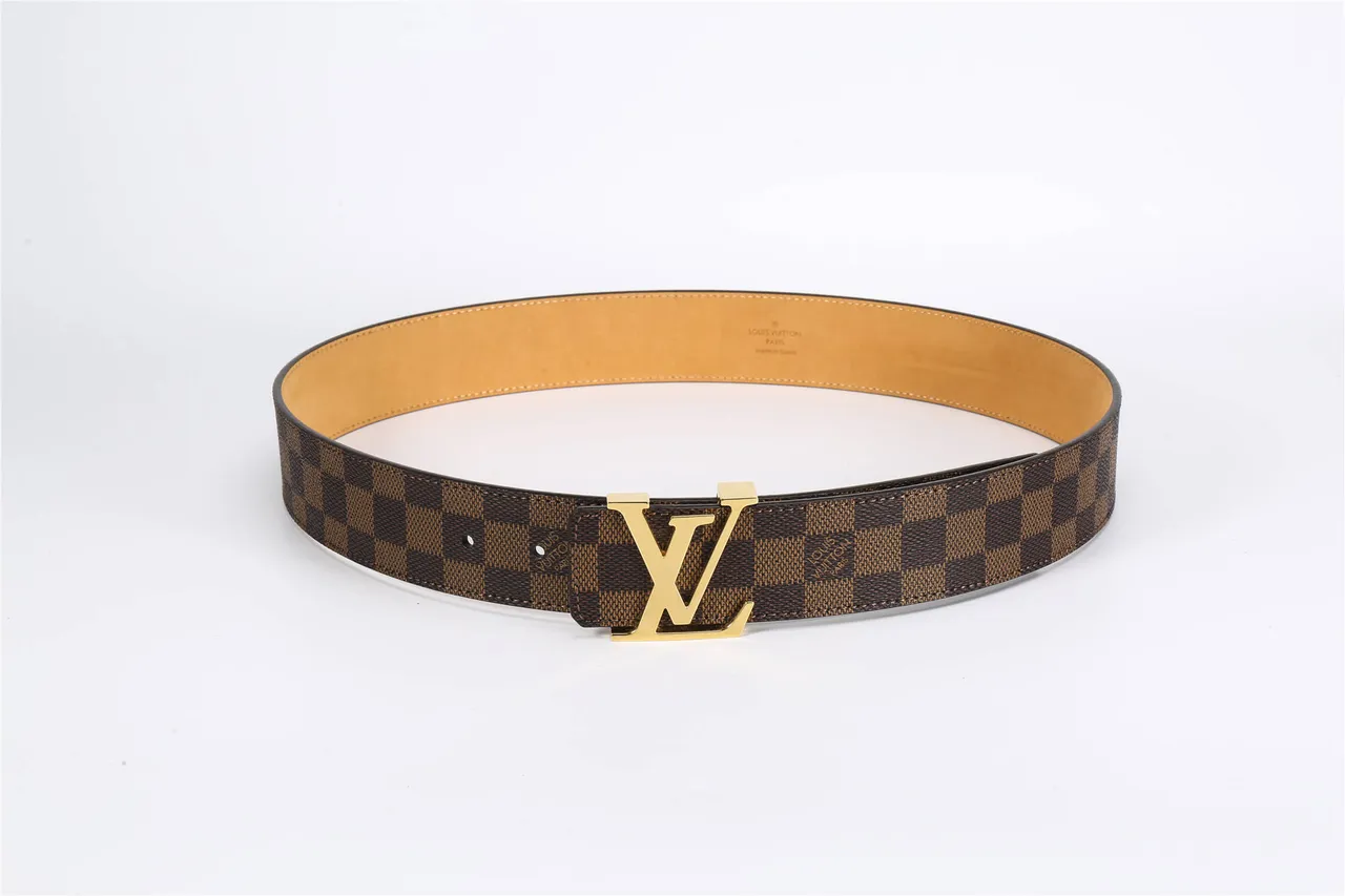 Louis Vuitton LV Damier Ebène Ceinture Marron Tan Cuir 8