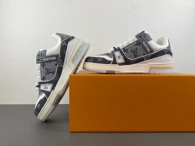 Louis Vuitton LV Trainer Monogram Canvas Lifestyle Sneakers 14